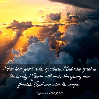 Picture 03 - Zechariah 9:17 WEB - For how great is his goodness, And how great is - Bible Verse Picture