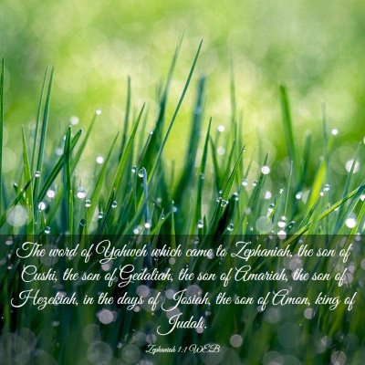 Picture 03 - Zephaniah 1:1 WEB - The word of Yahweh which came to Zephaniah, the - Bible Verse Picture