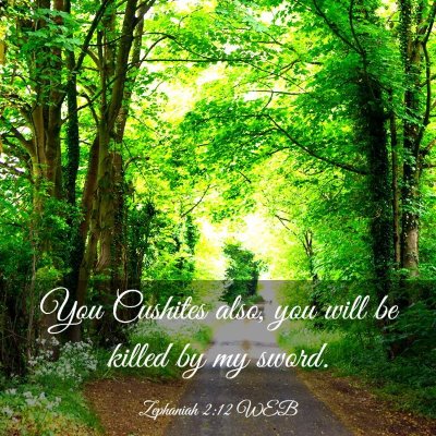 Picture 03 - Zephaniah 2:12 WEB - You Cushites also, you will be killed by my - Bible Verse Picture