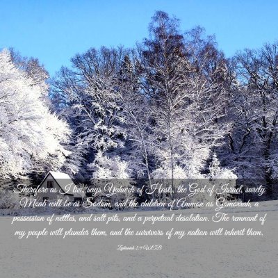 Picture 03 - Zephaniah 2:9 WEB - Therefore as I live, says Yahweh of Hosts, the - Bible Verse Picture