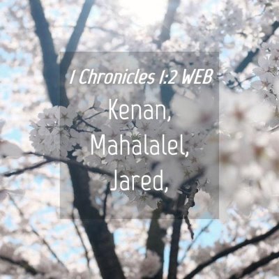 Picture 04 - 1 Chronicles 1:2 WEB - Kenan, Mahalalel, - Bible Verse Picture