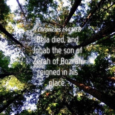 Picture 04 - 1 Chronicles 1:44 WEB - Bela died, and Jobab the son of Zerah of Bozrah - Bible Verse Picture