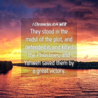 Picture 04 - 1 Chronicles 11:14 WEB - They stood in the midst of the plot, and defended - Bible Verse Picture
