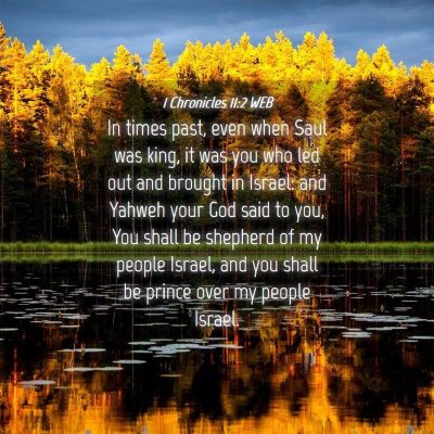 Picture 04 - 1 Chronicles 11:2 WEB - In times past, even when Saul was king, it was - Bible Verse Picture