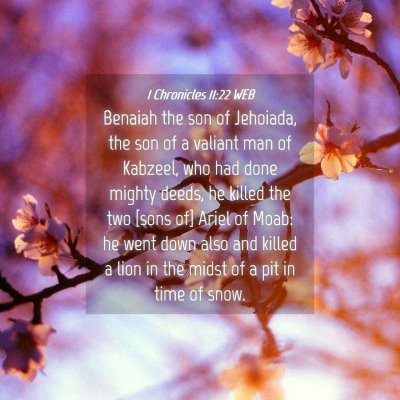 Picture 04 - 1 Chronicles 11:22 WEB - Benaiah the son of Jehoiada, the son of a valiant - Bible Verse Picture