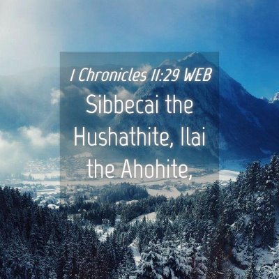 Picture 04 - 1 Chronicles 11:29 WEB - Sibbecai the Hushathite, Ilai the - Bible Verse Picture