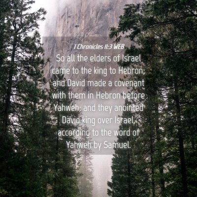 Picture 04 - 1 Chronicles 11:3 WEB - So all the elders of Israel came to the king to - Bible Verse Picture