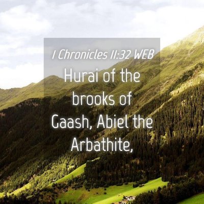 Picture 04 - 1 Chronicles 11:32 WEB - Hurai of the brooks of Gaash, Abiel the - Bible Verse Picture