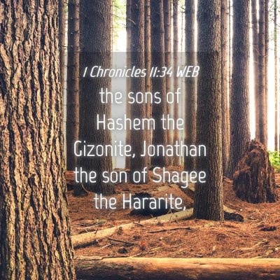 Picture 04 - 1 Chronicles 11:34 WEB - the sons of Hashem the Gizonite, Jonathan the son - Bible Verse Picture