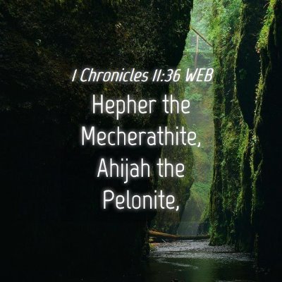 Picture 04 - 1 Chronicles 11:36 WEB - Hepher the Mecherathite, Ahijah the - Bible Verse Picture