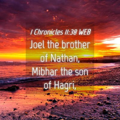 Picture 04 - 1 Chronicles 11:38 WEB - Joel the brother of Nathan, Mibhar the son of - Bible Verse Picture