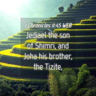 Picture 04 - 1 Chronicles 11:45 WEB - Jediael the son of Shimri, and Joha his brother, - Bible Verse Picture