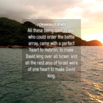 Picture 04 - 1 Chronicles 12:38 WEB - All these being men of war, who could order the - Bible Verse Picture