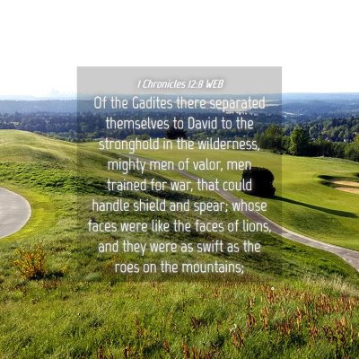 Picture 04 - 1 Chronicles 12:8 WEB - Of the Gadites there separated themselves to - Bible Verse Picture