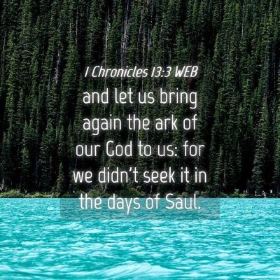 Picture 04 - 1 Chronicles 13:3 WEB - and let us bring again the ark of our God to us: - Bible Verse Picture