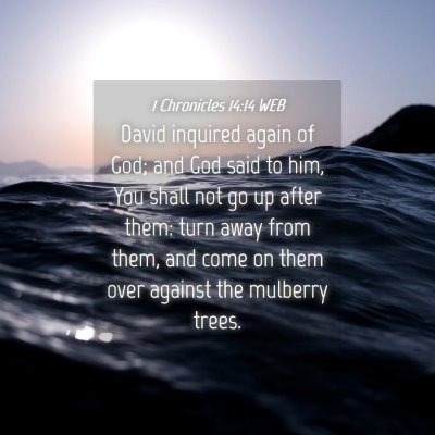 Picture 04 - 1 Chronicles 14:14 WEB - David inquired again of God; and God said to him, - Bible Verse Picture