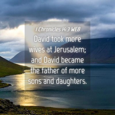 Picture 04 - 1 Chronicles 14:3 WEB - David took more wives at Jerusalem; and David - Bible Verse Picture