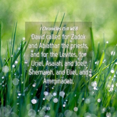 Picture 04 - 1 Chronicles 15:11 WEB - David called for Zadok and Abiathar the priests, - Bible Verse Picture
