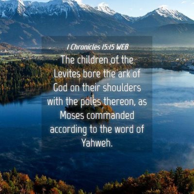Picture 04 - 1 Chronicles 15:15 WEB - The children of the Levites bore the ark of God - Bible Verse Picture