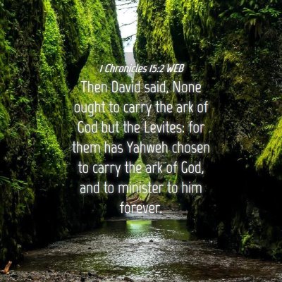 Picture 04 - 1 Chronicles 15:2 WEB - Then David said, None ought to carry the ark of - Bible Verse Picture