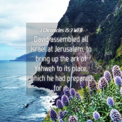 Picture 04 - 1 Chronicles 15:3 WEB - David assembled all Israel at Jerusalem, to bring - Bible Verse Picture