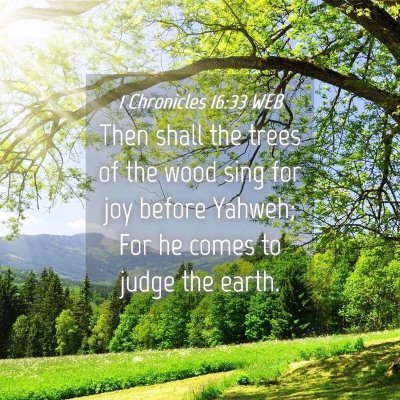 Picture 04 - 1 Chronicles 16:33 WEB - Then shall the trees of the wood sing for joy - Bible Verse Picture