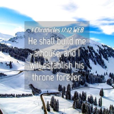 Picture 04 - 1 Chronicles 17:12 WEB - He shall build me a house, and I will establish - Bible Verse Picture