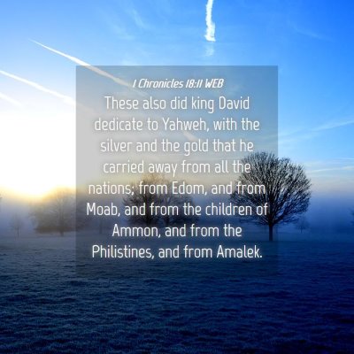 Picture 04 - 1 Chronicles 18:11 WEB - These also did king David dedicate to Yahweh, - Bible Verse Picture