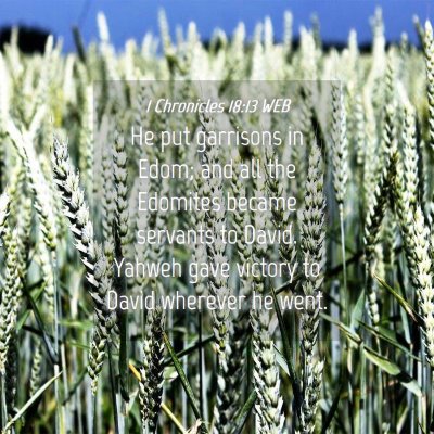 Picture 04 - 1 Chronicles 18:13 WEB - He put garrisons in Edom; and all the Edomites - Bible Verse Picture