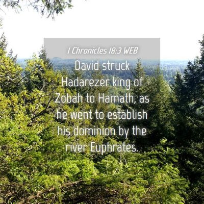 Picture 04 - 1 Chronicles 18:3 WEB - David struck Hadarezer king of Zobah to Hamath, - Bible Verse Picture