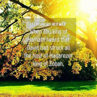 Picture 04 - 1 Chronicles 18:9 WEB - When Tou king of Hamath heard that David had - Bible Verse Picture
