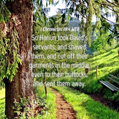 Picture 04 - 1 Chronicles 19:4 WEB - So Hanun took David's servants, and shaved them, - Bible Verse Picture