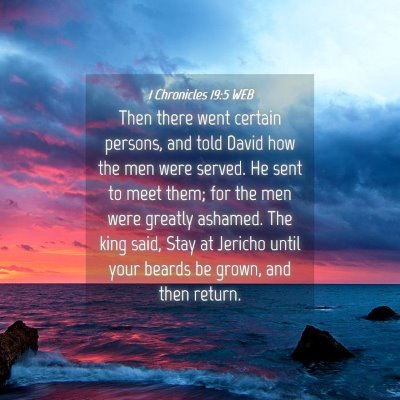 Picture 04 - 1 Chronicles 19:5 WEB - Then there went certain persons, and told David - Bible Verse Picture