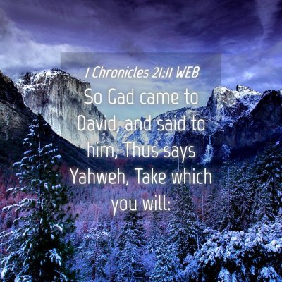 Picture 04 - 1 Chronicles 21:11 WEB - So Gad came to David, and said to him, Thus says - Bible Verse Picture