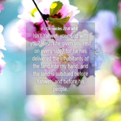 Picture 04 - 1 Chronicles 22:18 WEB - Isn't Yahweh your God with you? Hasn't he given - Bible Verse Picture