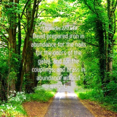 Picture 04 - 1 Chronicles 22:3 WEB - David prepared iron in abundance for the nails - Bible Verse Picture