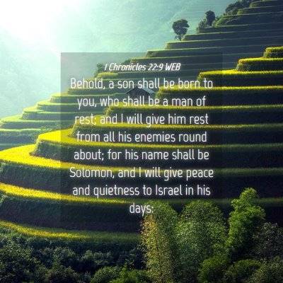 Picture 04 - 1 Chronicles 22:9 WEB - Behold, a son shall be born to you, who shall be - Bible Verse Picture