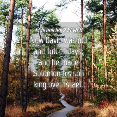 Picture 04 - 1 Chronicles 23:1 WEB - Now David was old and full of days; and he made - Bible Verse Picture