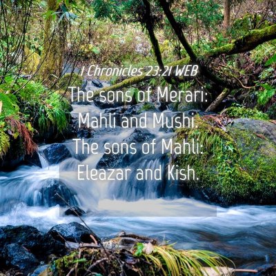 Picture 04 - 1 Chronicles 23:21 WEB - The sons of Merari: Mahli and Mushi. The sons of - Bible Verse Picture