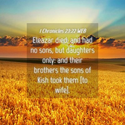 Picture 04 - 1 Chronicles 23:22 WEB - Eleazar died, and had no sons, but daughters - Bible Verse Picture