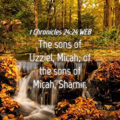 Picture 04 - 1 Chronicles 24:24 WEB - The sons of Uzziel, Micah; of the sons of Micah, - Bible Verse Picture
