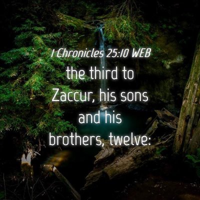 Picture 04 - 1 Chronicles 25:10 WEB - the third to Zaccur, his sons and his brothers, - Bible Verse Picture
