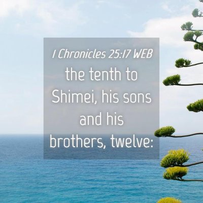 Picture 04 - 1 Chronicles 25:17 WEB - the tenth to Shimei, his sons and his brothers, - Bible Verse Picture