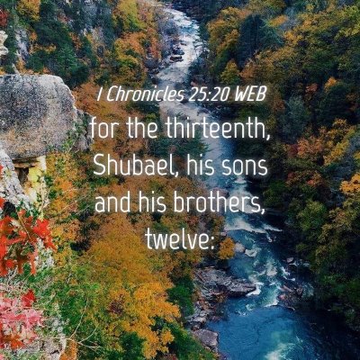 Picture 04 - 1 Chronicles 25:20 WEB - for the thirteenth, Shubael, his sons and his - Bible Verse Picture