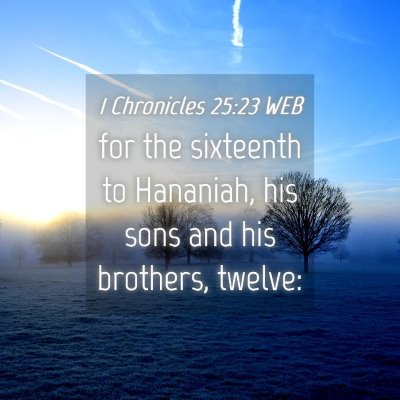 Picture 04 - 1 Chronicles 25:23 WEB - for the sixteenth to Hananiah, his sons and his - Bible Verse Picture