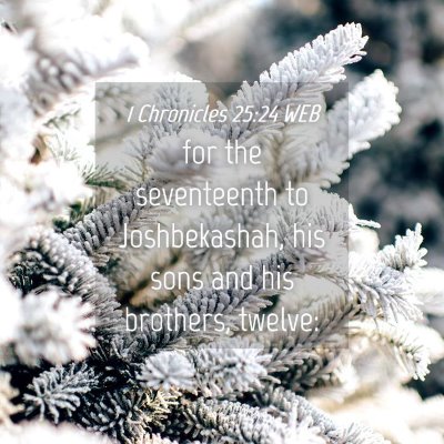 Picture 04 - 1 Chronicles 25:24 WEB - for the seventeenth to Joshbekashah, his sons and - Bible Verse Picture