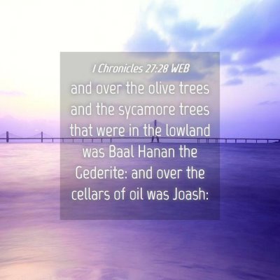 Picture 04 - 1 Chronicles 27:28 WEB - and over the olive trees and the sycamore trees - Bible Verse Picture