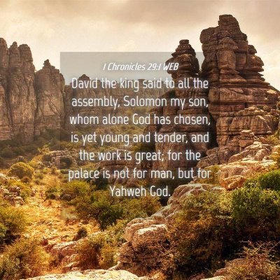 Picture 04 - 1 Chronicles 29:1 WEB - David the king said to all the assembly, Solomon - Bible Verse Picture