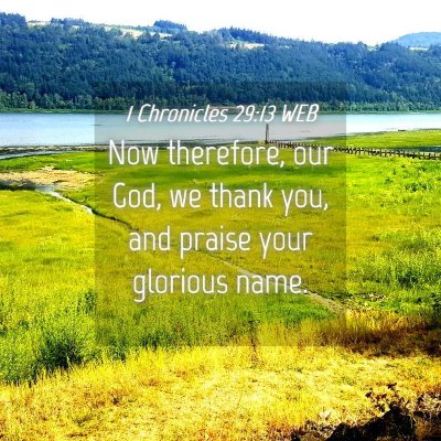 Picture 04 - 1 Chronicles 29:13 WEB - Now therefore, our God, we thank you, and praise - Bible Verse Picture