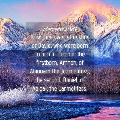 Picture 04 - 1 Chronicles 3:1 WEB - Now these were the sons of David, who were born - Bible Verse Picture